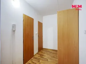 Pronájem bytu 1+1, Plasy, Potoční, 42 m2