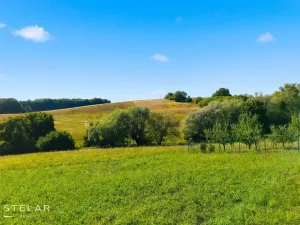 Prodej pozemku pro bydlení, Špičky, 1200 m2