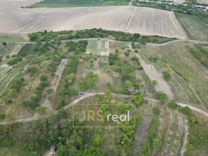 Prodej zahrady, Hustopeče, 581 m2