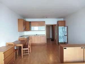Pronájem bytu 1+kk, Praha - Krč, Panuškova, 44 m2