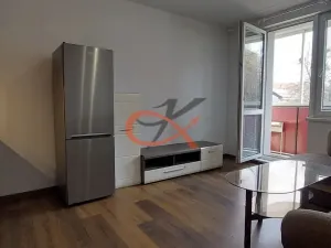 Pronájem bytu 1+kk, Valašské Meziříčí, Vsetínská, 18 m2