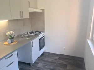 Pronájem bytu 1+1, Ostrava - Zábřeh, Průkopnická, 40 m2
