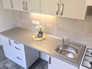 Pronájem bytu 1+1, Ostrava - Zábřeh, Průkopnická, 40 m2