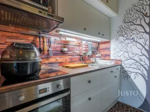 Prodej bytu 1+kk, Šakvice, Hlavní, 31 m2