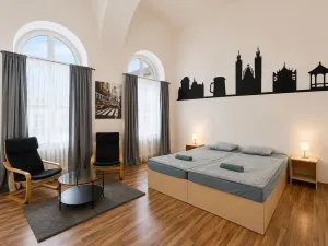 Pronájem ubytování, Praha, Seifertova, 150 m2