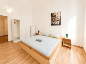 Pronájem ubytování, Praha, Seifertova, 150 m2