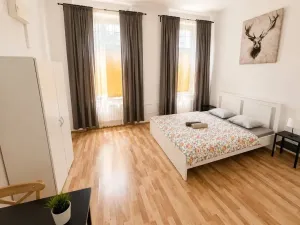 Pronájem ubytování, Praha, Seifertova, 150 m2