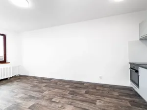Pronájem bytu 1+kk, Ostrava - Zábřeh, Čujkovova, 28 m2