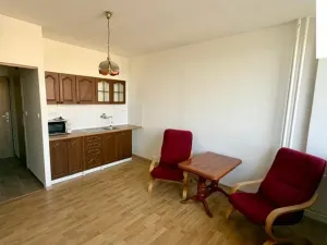 Pronájem bytu 1+kk, Ústí nad Labem - Ústí nad Labem-centrum, Malátova, 22 m2