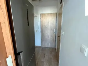 Pronájem bytu 1+kk, Ústí nad Labem - Ústí nad Labem-centrum, Malátova, 22 m2