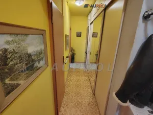 Prodej bytu 3+kk, Praha - Braník, Nad lesním divadlem, 63 m2