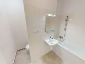 Pronájem bytu 1+1, Ostrava - Zábřeh, Tylova, 40 m2