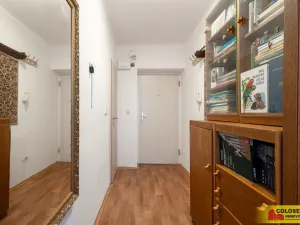 Prodej bytu 1+1, Brno, Skácelova, 45 m2