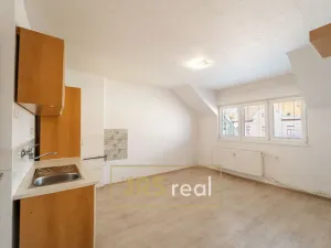 Prodej bytu 1+1, Brno - Veveří, 54 m2