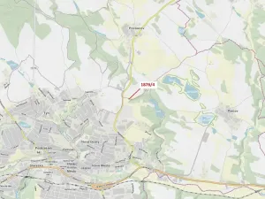 Dražba lesa, Třebíč, 601 m2