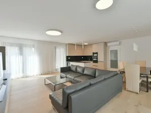 Pronájem bytu 3+kk, Praha - Michle, Michelská, 115 m2