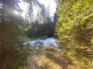 Prodej pole, Železná Ruda - Špičák, 1644 m2
