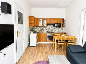 Pronájem bytu 2+kk, Plzeň, Čechova, 48 m2