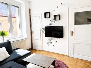 Pronájem bytu 2+kk, Plzeň, Čechova, 48 m2