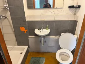 Pronájem výrobních prostor, Ondřejov - Turkovice, K Lensedlům, 120 m2