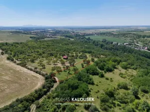Prodej sadu/vinice, Dolní Kounice, 2107 m2