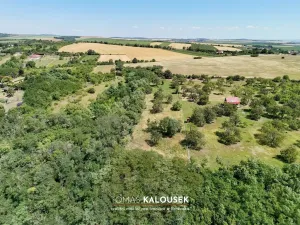 Prodej sadu/vinice, Dolní Kounice, 2107 m2