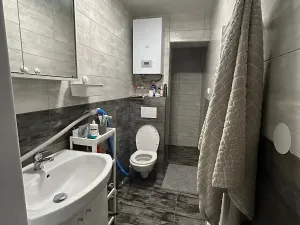 Pronájem rodinného domu, Brno, Moravanské lány, 160 m2