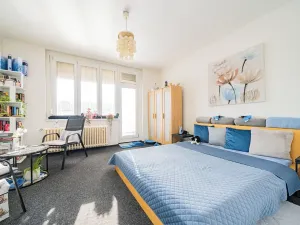 Prodej bytu 1+kk, Praha - Nusle, 5. května, 46 m2