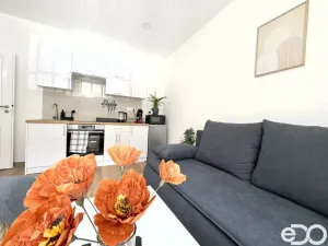 Pronájem bytu 1+kk, Liberec, Mlýnská, 28 m2
