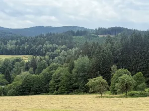 Prodej louky, Hamry, 84928 m2