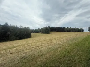 Prodej louky, Hamry, 84928 m2