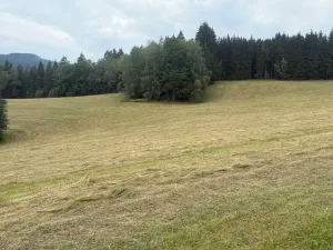 Prodej louky, Hamry, 84928 m2