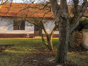 Prodej chalupy, Žákava, 100 m2