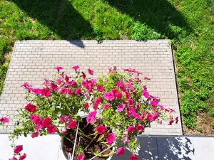Prodej rodinného domu, Podhradí, 230 m2