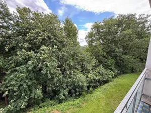 Prodej bytu 3+1, Benešov nad Černou, 85 m2