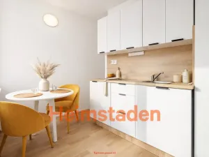 Pronájem bytu 1+1, Karviná - Hranice, Einsteinova, 32 m2