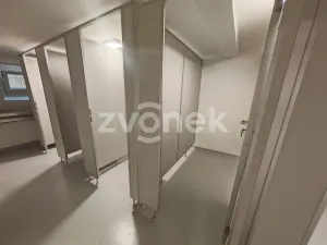 Pronájem bytu 1+kk, Otrokovice, Moravní, 32 m2