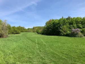 Prodej podílu louky, Praha - Nebušice, U Gabrielky, 24023 m2