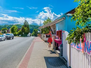 Prodej rodinného domu, Hluboká nad Vltavou, Jiráskova, 233 m2