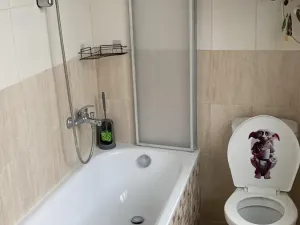 Pronájem bytu 1+kk, Turnov, Palackého, 27 m2