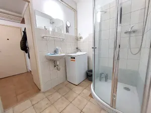 Pronájem bytu 1+1, Brno, Vápenka, 45 m2