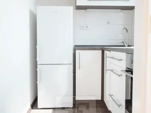 Pronájem bytu 1+kk, Praha - Troja, Krynická, 29 m2