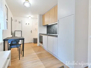 Pronájem bytu 1+kk, Brno, Netušilova, 32 m2