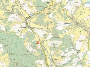 Prodej louky, Borovnice, 16910 m2