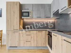 Pronájem bytu 1+kk, Praha - Karlín, Breitfeldova, 38 m2