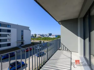 Pronájem bytu 2+kk, Plzeň - Jižní Předměstí, Železná, 56 m2
