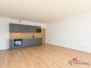 Pronájem bytu 2+kk, Plzeň - Jižní Předměstí, Železná, 56 m2