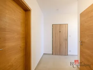 Pronájem bytu 2+kk, Plzeň - Jižní Předměstí, Železná, 56 m2