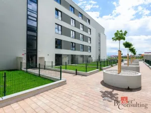 Pronájem bytu 2+kk, Plzeň - Jižní Předměstí, Železná, 56 m2