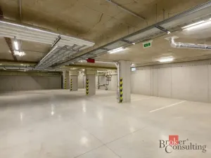 Pronájem bytu 2+kk, Plzeň - Jižní Předměstí, Železná, 56 m2